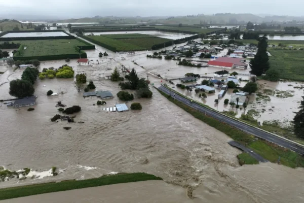 HAwkes Bay Project - Photo 3