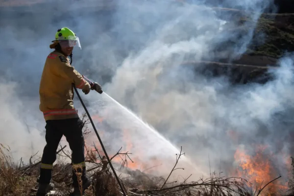 Wildfire Photo 2