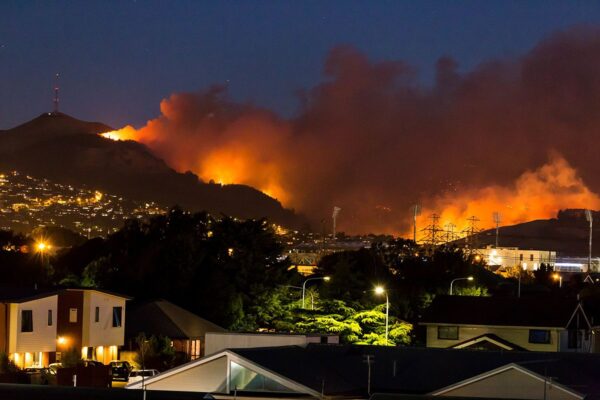 Wildfire Photo 3