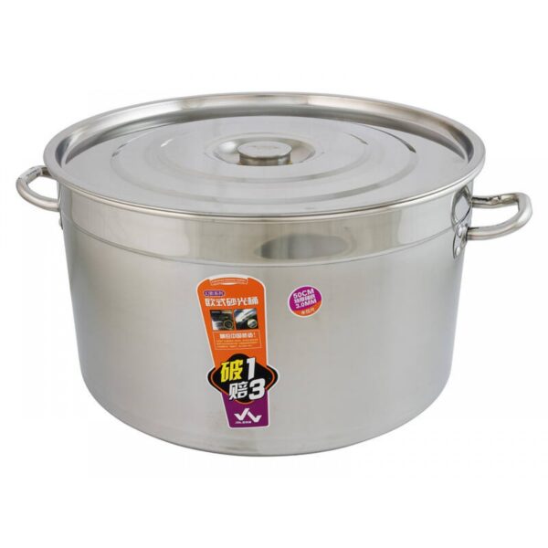 Commercial Stock Pot 52L