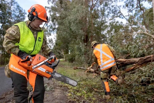 Chainsaw Safety & Operation Training
